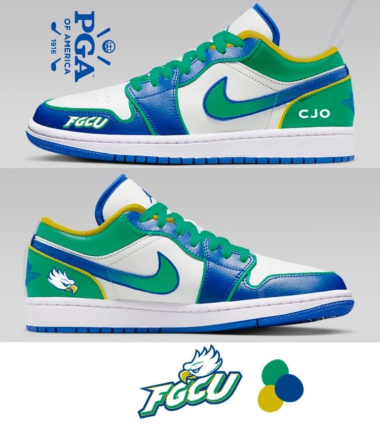 Custom Jordan 1 lows