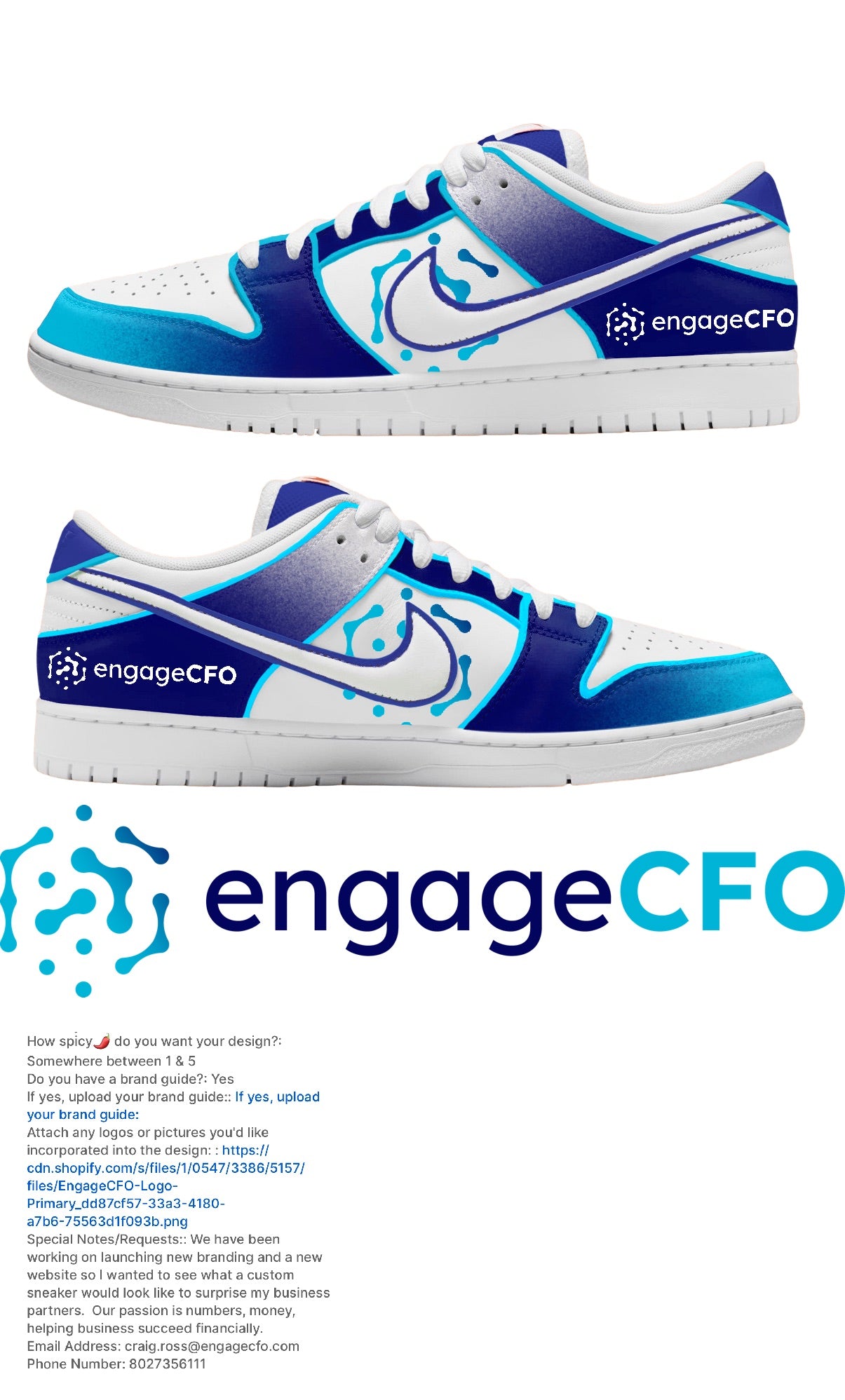 Custom Engage CFO Nike dunk