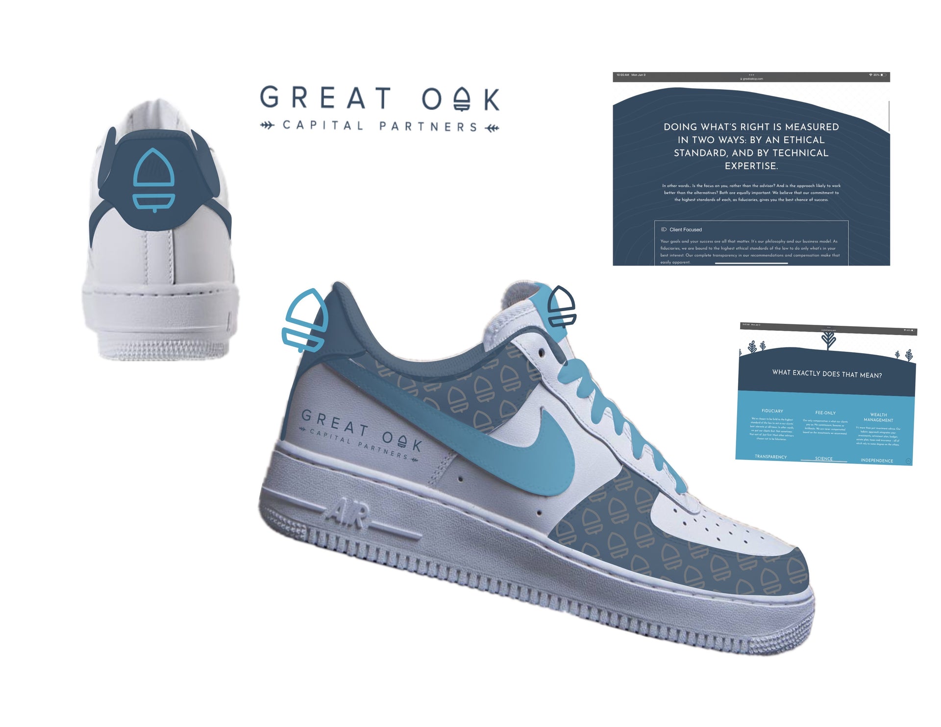 CUSTOM Great Oak CP Airforce 1 lows